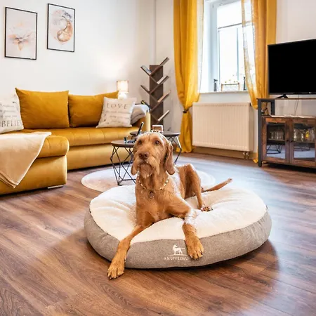 Apartment Gaestewohnung Auszeit Regis-Breitingen