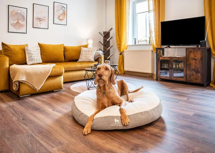 شقة Gaestewohnung Auszeit Regis-Breitingen